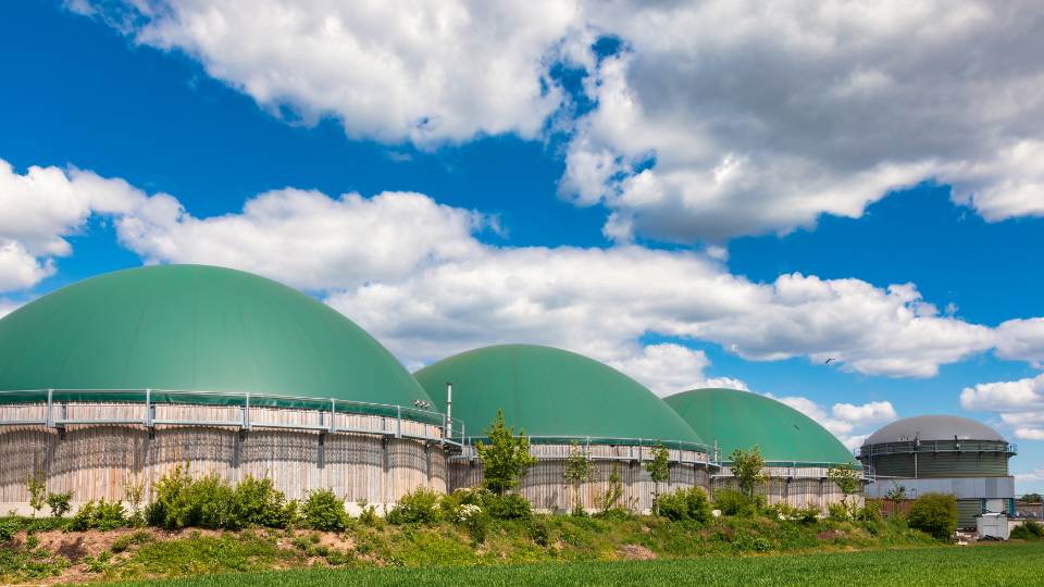 anaerobic digestion