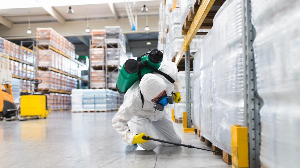 Pest control worker