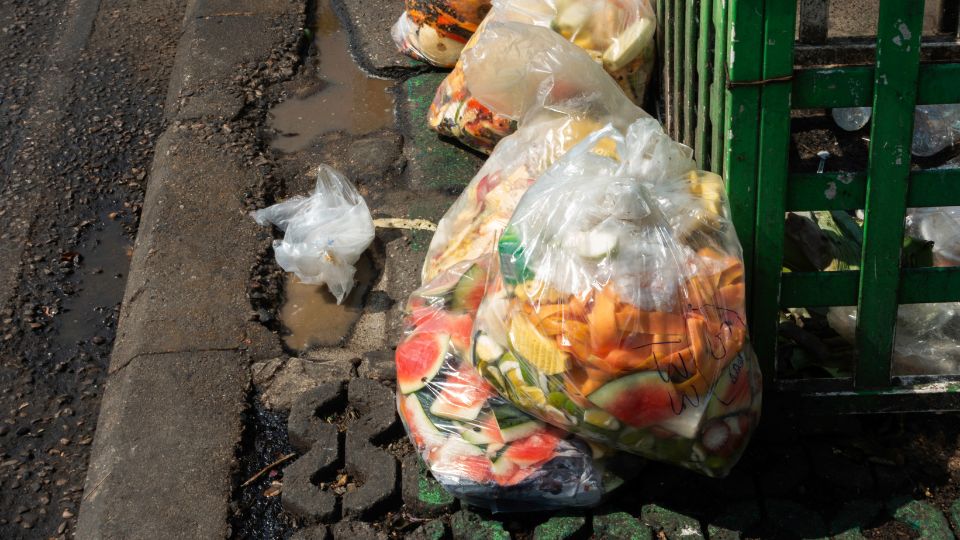 Food waste bag.
