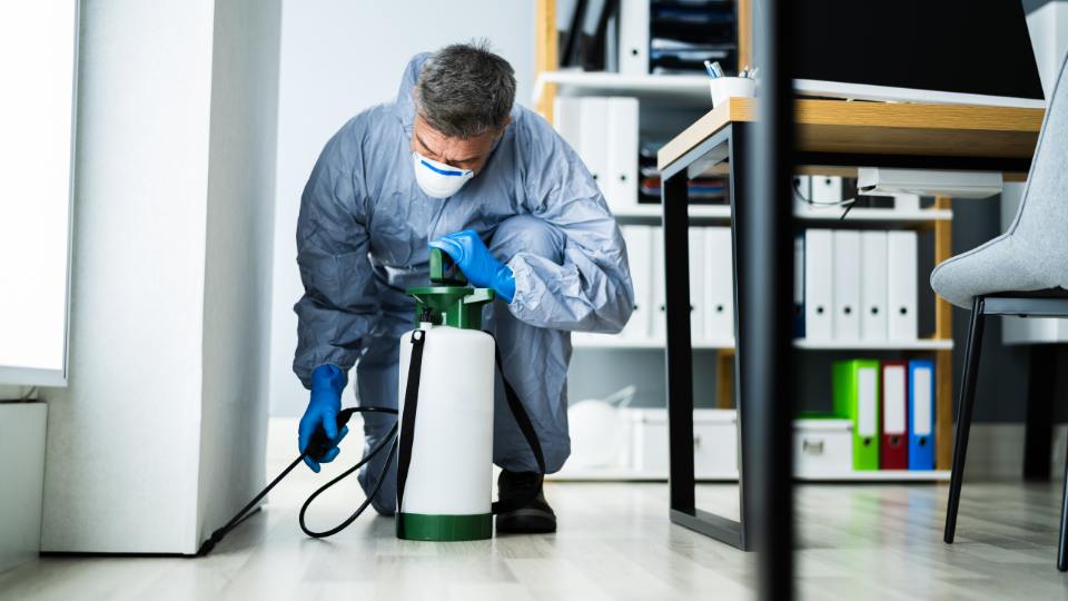 office pest control worker