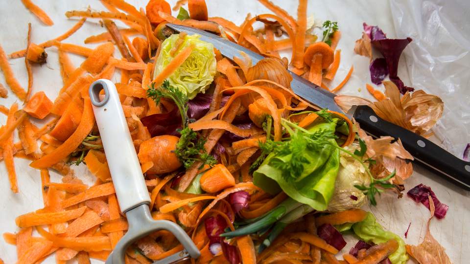 Food waste scrapings and peelings