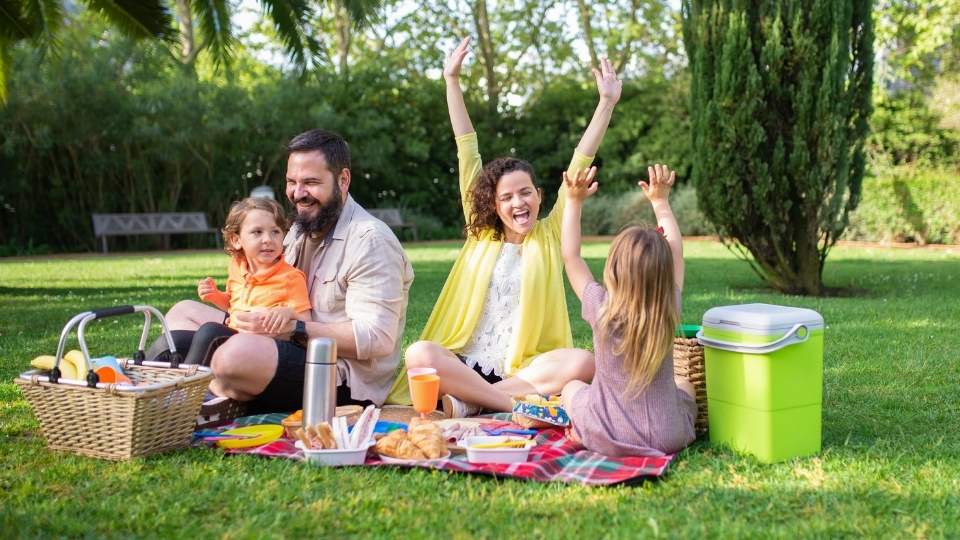picnic