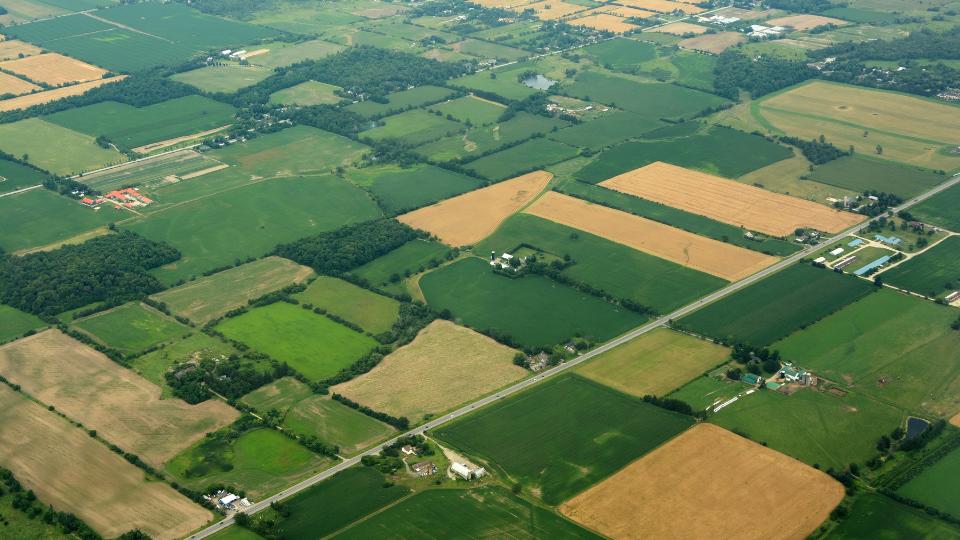 farming fields in the UK
