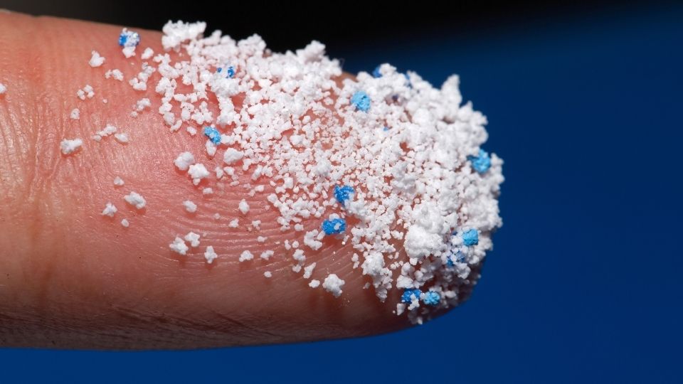 microscopic photo of microplastics