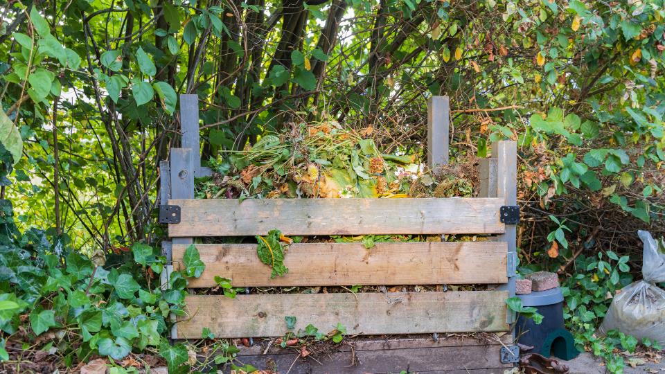 compost bin outside with garden waste in it