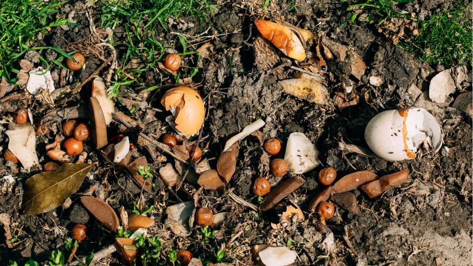farm waste lying in the dirt