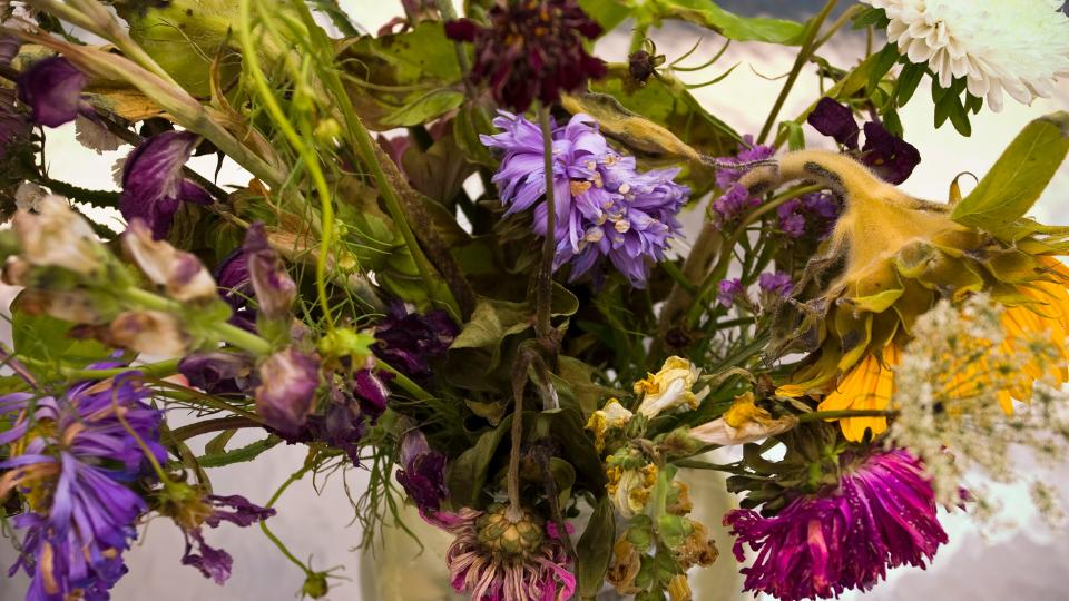 dead and decaying flowers in a vase