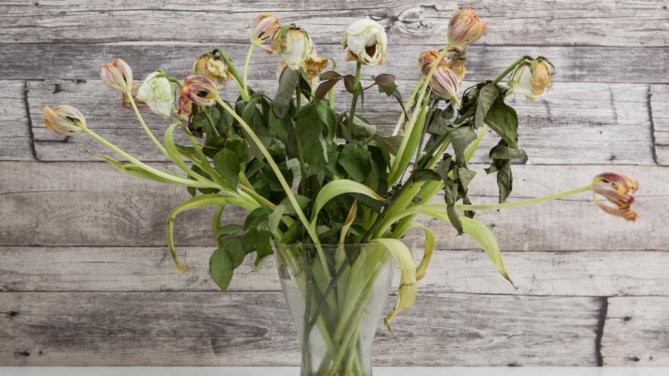 dead white flowers that need to be disposed of
