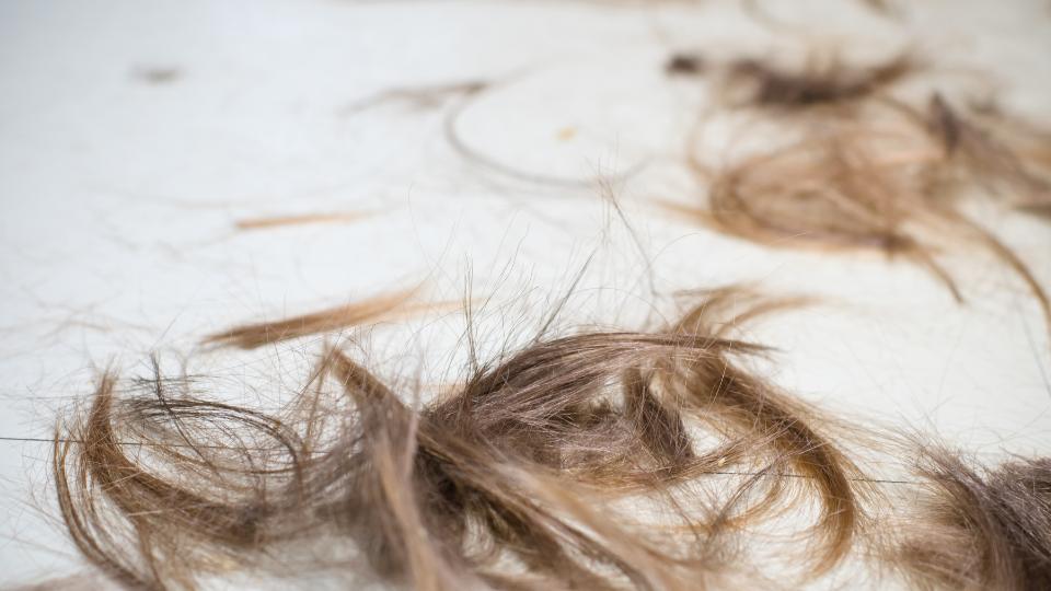 bits of hair on the floor after a haircut