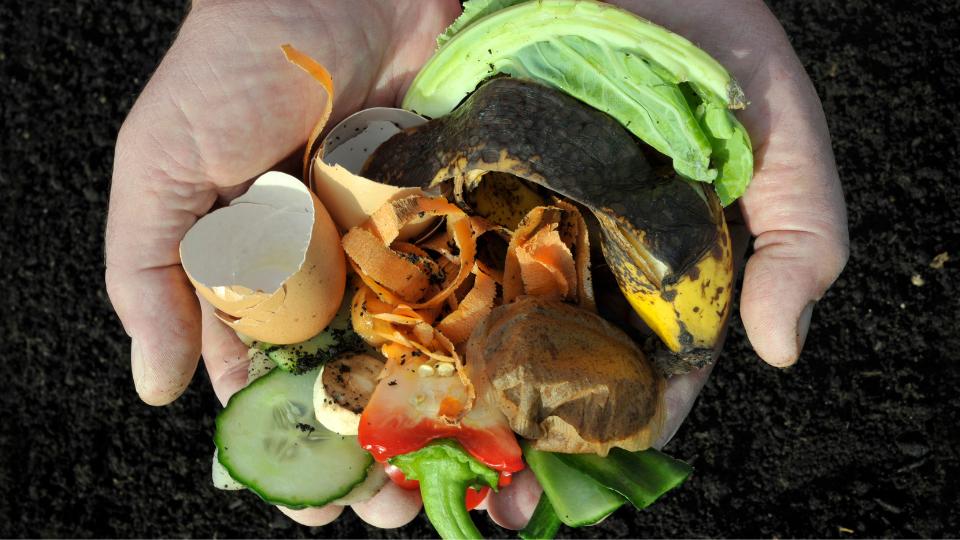 a pair of hands holding wasted farm products.