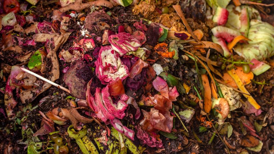 farm waste like fruits littered in the dirt
