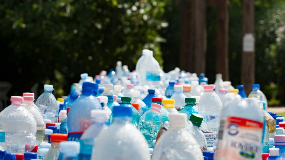 A photograph of plastic bottles on a conveyor belt ready to be recycled.