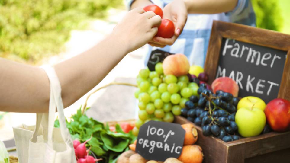 shopping at a local farmers market for a low waste summer holiday