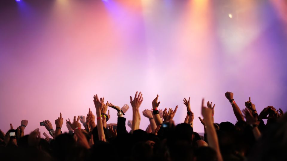fans cheering at a taylor swift concert