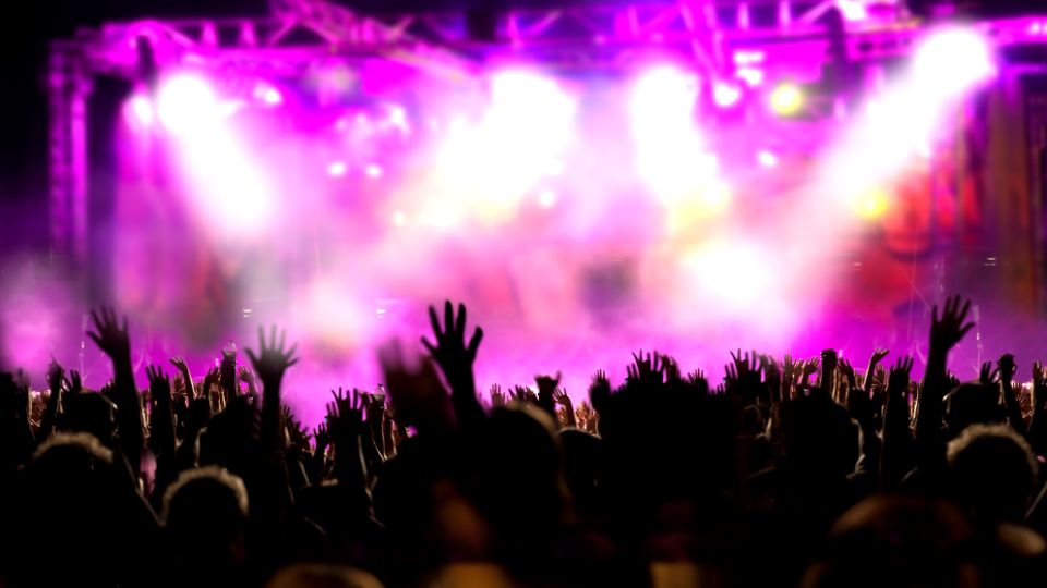 fans at a taylor swift concert
