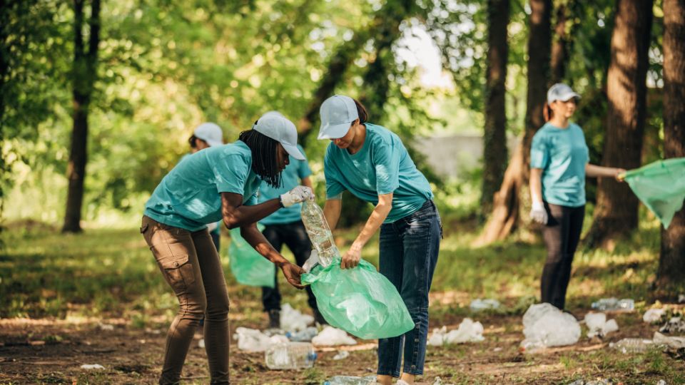 Group clean up of waste in a forest.