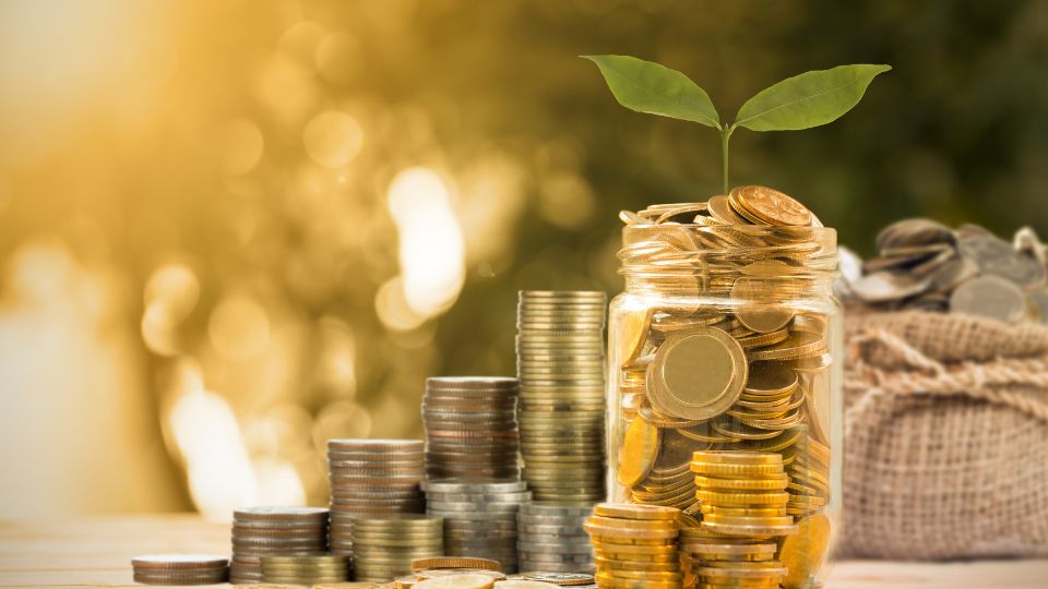 Money savings and a plant growing from the savings pot.