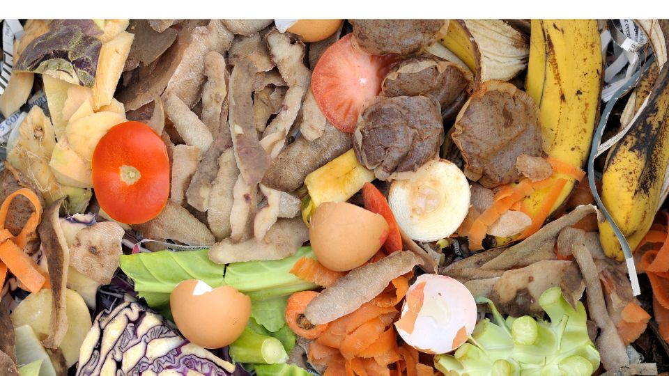 A pile of food waste.