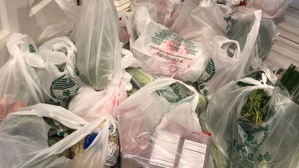 Plastic bags being used for carrying goods.