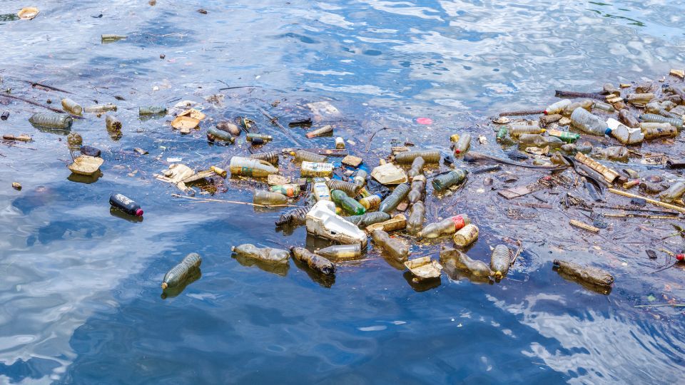 Glass and plastic floating in the ocean.
