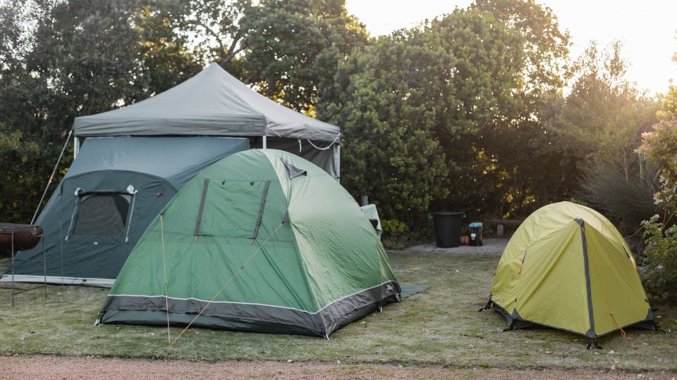 Campsite with tents