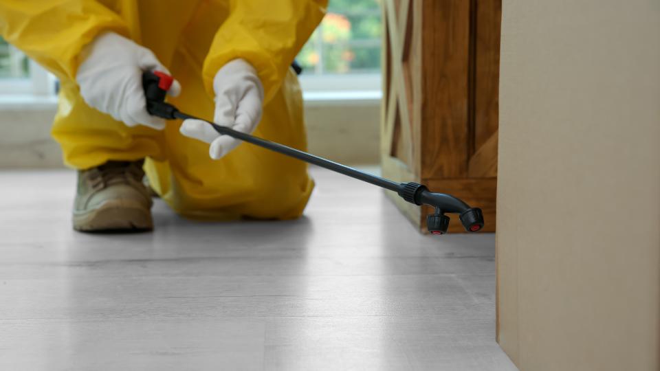 Pest control fumigation