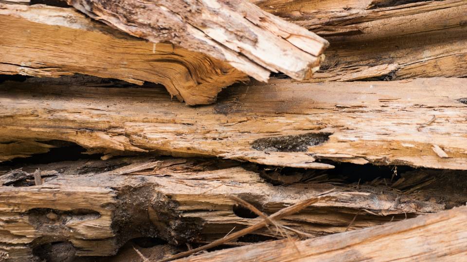 broken wood being thrown away