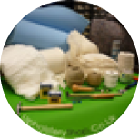Customer profile picture