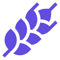 Wheat brewery icon